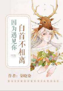梦幻西游限量版大满贯