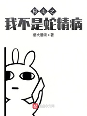 免费王者皮肤美化包