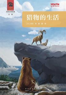 母猫跑酷游戏