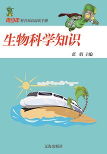 天刀滑梯活动