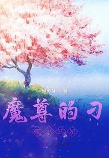 我的魔兽老婆们