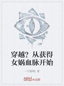 精灵宝可梦火红攻略